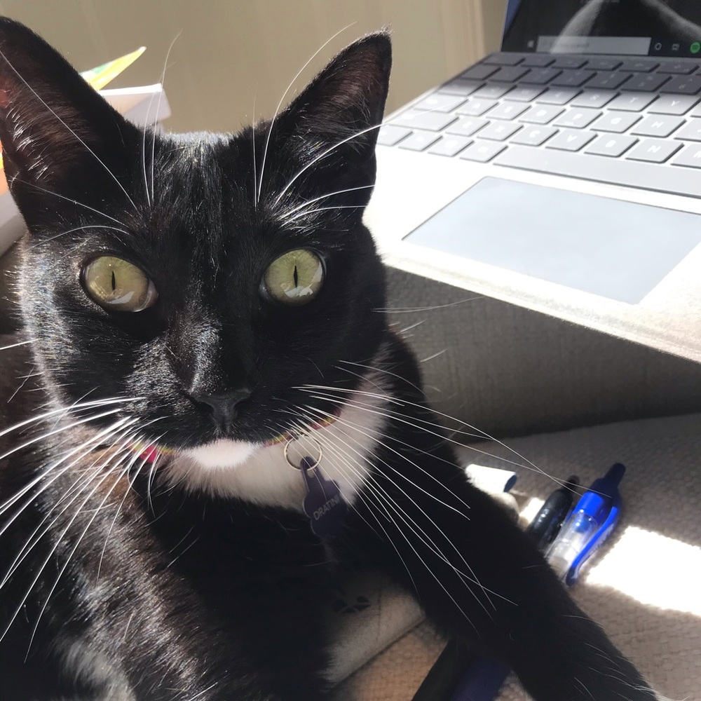 Meet your Posher, Karoline